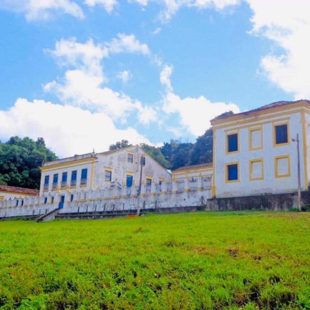 Bananeiras (3)