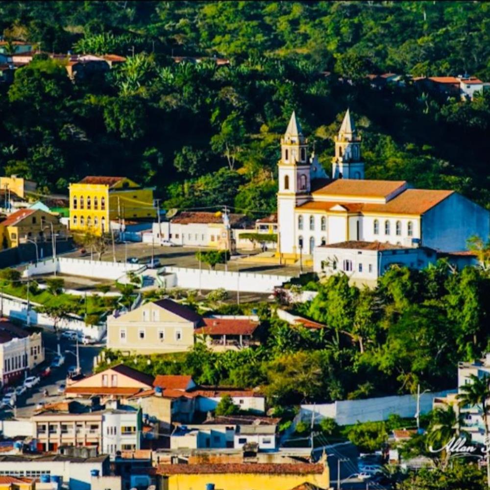 Bananeiras (4)