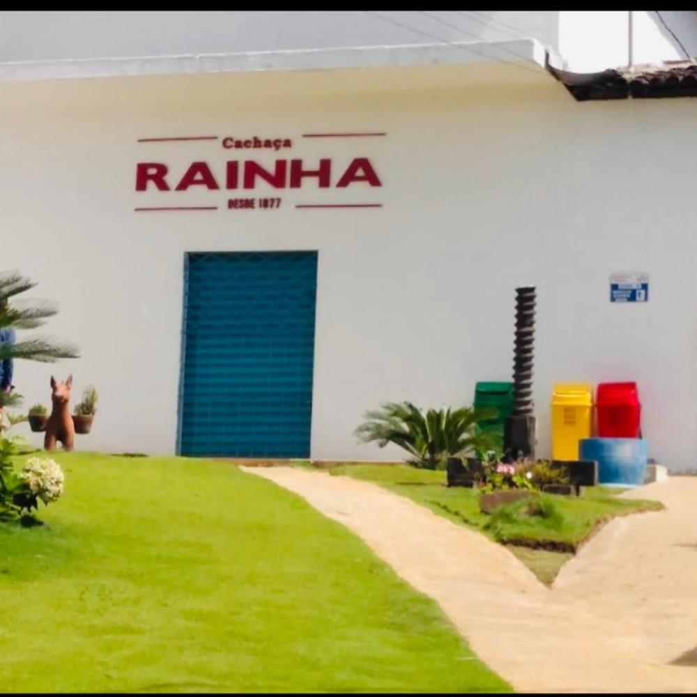 Bananeiras (5)